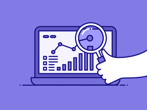 Seo per Palestre